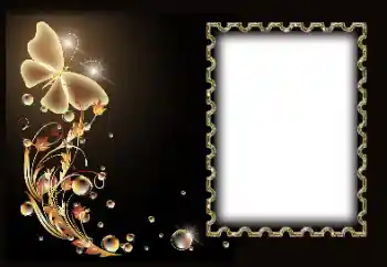 Foto-effetti della categoria Vari № 184627