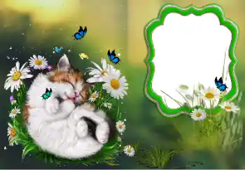 Foto-effetti della categoria Vari № 184694