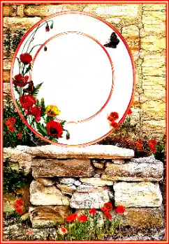 Foto-effetti della categoria Vari № 185856