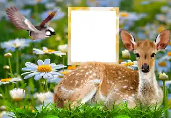 Foto-effetti della categoria Vari № 185878