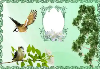 Foto-effetti della categoria Vari № 185981