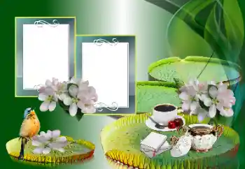 Foto-effetti della categoria Vari № 185988