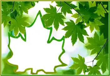 Foto-effetti della categoria Vari № 186022