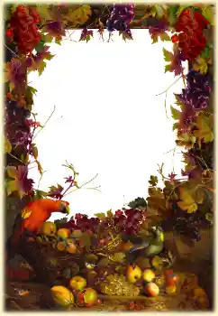 Foto-effetti della categoria Vari № 187070