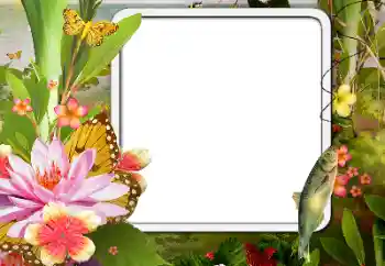 Foto-effetti della categoria Vari № 188076