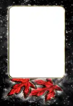 Foto-effetti della categoria Vari № 188187