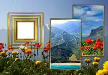 Foto-effetti della categoria Vari № 189370