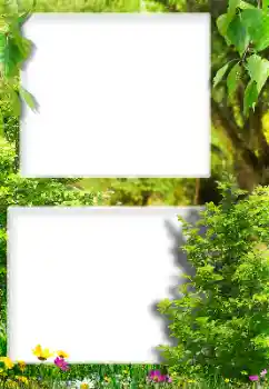 Foto-effetti della categoria Vari № 189416