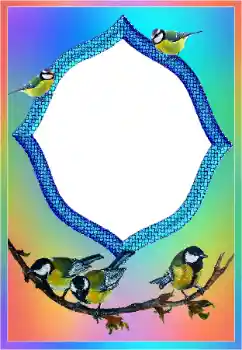 Foto-effetti della categoria Vari № 189437