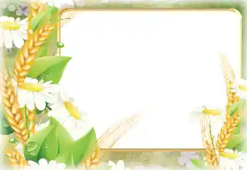 Foto-effetti della categoria Vari № 190498