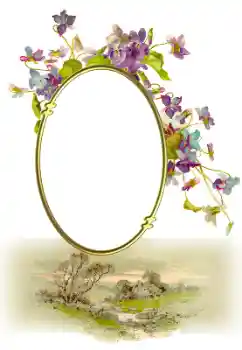 Foto-effetti della categoria Vari № 190547