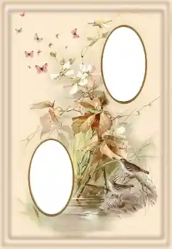 Foto-effetti della categoria Vari № 190550