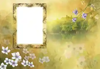 Foto-effetti della categoria Vari № 190618