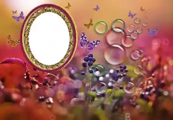 Foto-effetti della categoria Vari № 191700