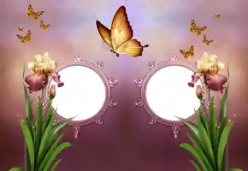 Foto-effetti della categoria Vari № 191737