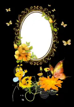 Foto-effetti della categoria Vari № 195284