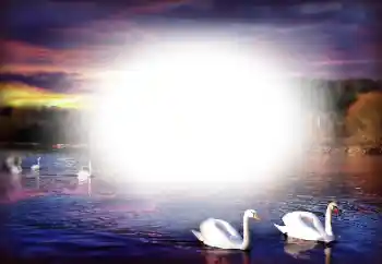 Foto-effetti della categoria Vari № 196358