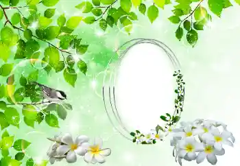 Foto-effetti della categoria Vari № 196398