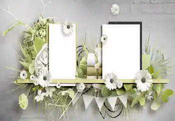 Foto-effetti della categoria Vari № 196449