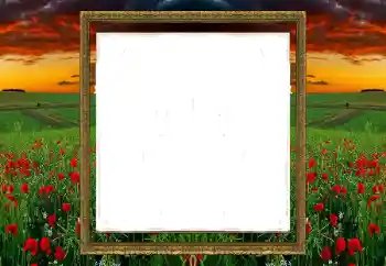 Foto-effetti della categoria Vari № 196520