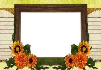 Foto-effetti della categoria Vari № 196538