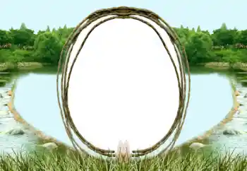 Foto-effetti della categoria Vari № 196571