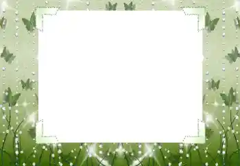 Foto-effetti della categoria Vari № 196623