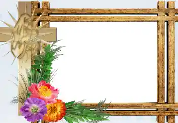 Foto-effetti della categoria Vari № 198770