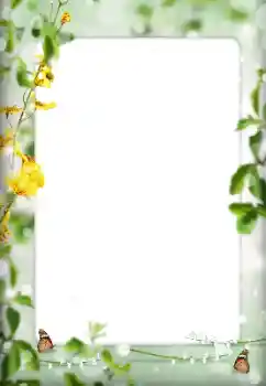 Foto-effetti della categoria Vari № 198822