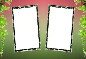 Foto-effetti della categoria Vari № 200080