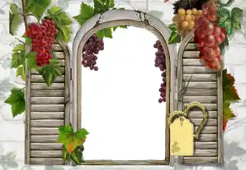 Foto-effetti della categoria Vari № 20247