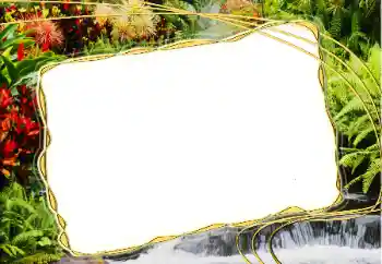 Foto-effetti della categoria Vari № 20271