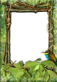 Foto-effetti della categoria Vari № 20272