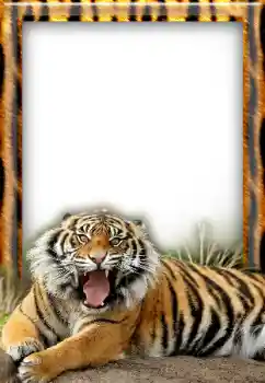 Foto-effetti della categoria Vari № 20297