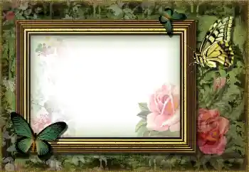 Foto-effetti della categoria Vari № 203270 Foto-effetti della categoria Vari № 203270