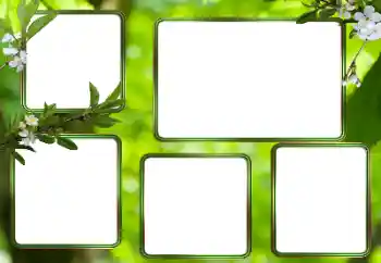 Foto-effetti della categoria Vari № 205353