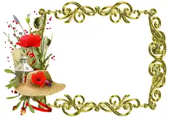 Foto-effetti della categoria Vari № 205358