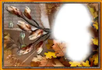 Foto-effetti della categoria Vari № 205533 Foto-effetti della categoria Vari № 205533