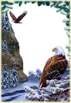 Foto-effetti della categoria Vari № 205592 Foto-effetti della categoria Vari № 205592