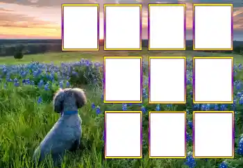 Foto-effetti della categoria Vari № 205604 Foto-effetti della categoria Vari № 205604