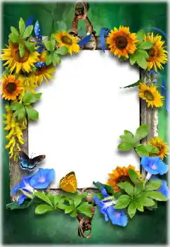 Foto-effetti della categoria Vari № 205611 Foto-effetti della categoria Vari № 205611