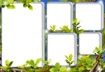 Foto-effetti della categoria Vari № 205792