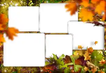 Foto-effetti della categoria Vari № 205794