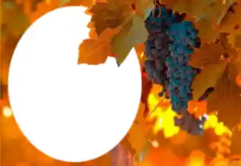 Foto-effetti della categoria Vari № 205802 Foto-effetti della categoria Vari № 205802