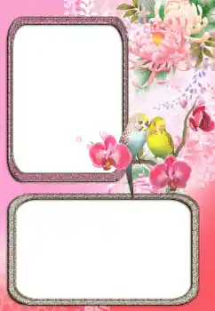 Foto-effetti della categoria Vari № 24272