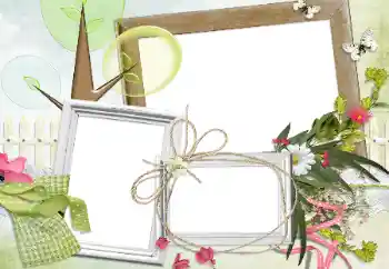 Foto-effetti della categoria Vari № 24280