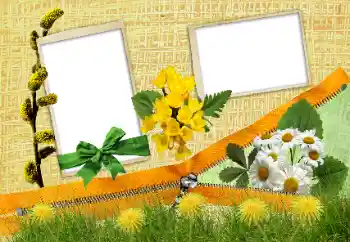 Foto-effetti della categoria Vari № 24285