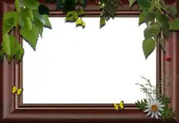 Foto-effetti della categoria Vari № 24288