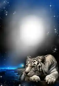 Foto-effetti della categoria Vari № 24304