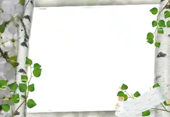 Foto-effetti della categoria Vari № 24319